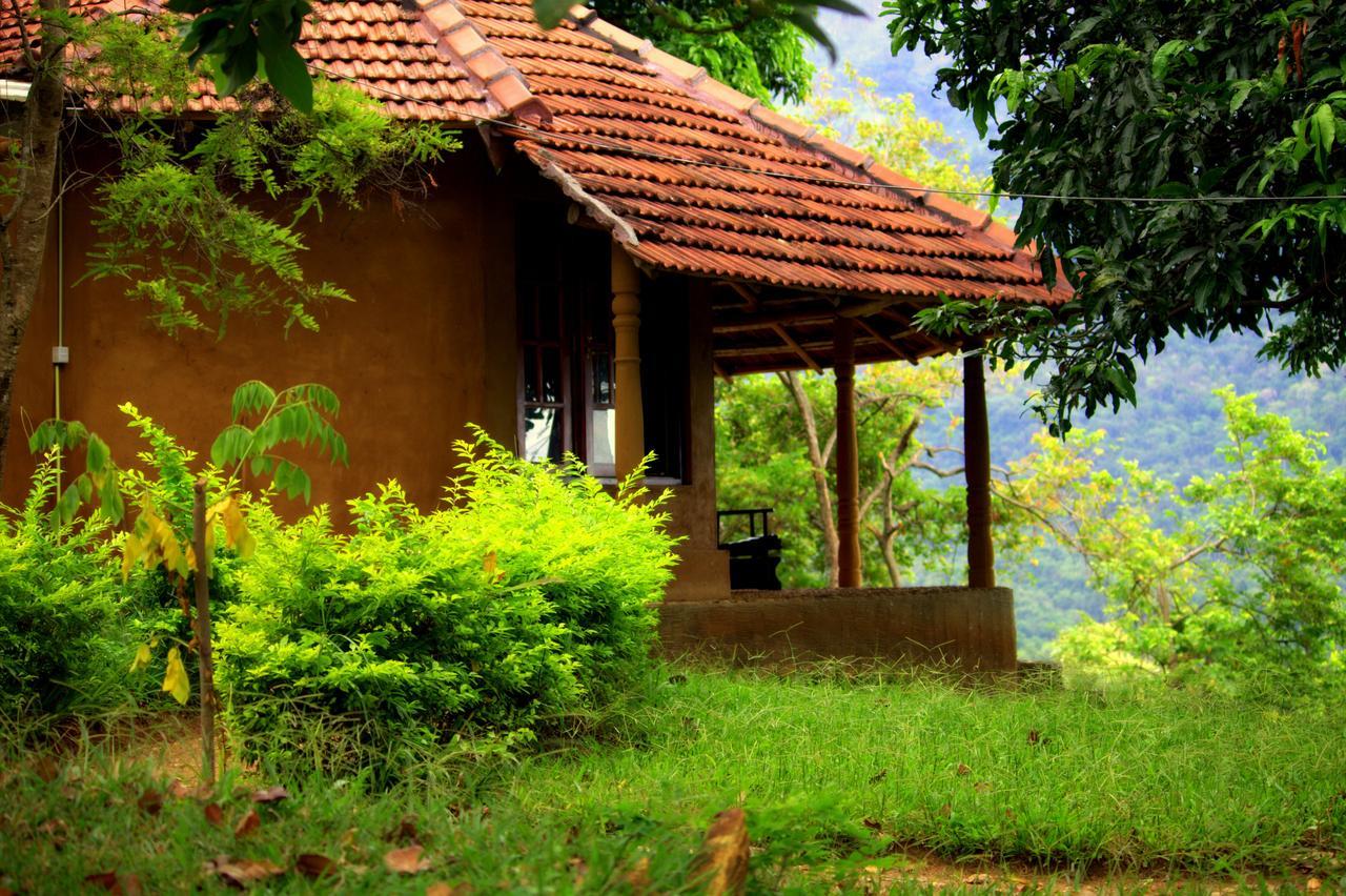 Pepper Hills Cottages Елла Екстер'єр фото